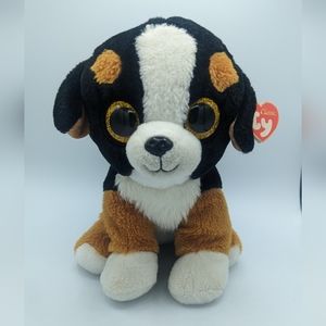 TY Classic Roscoe the Bernese Mountain Dog RARE HTF Medium Size Plush NWT